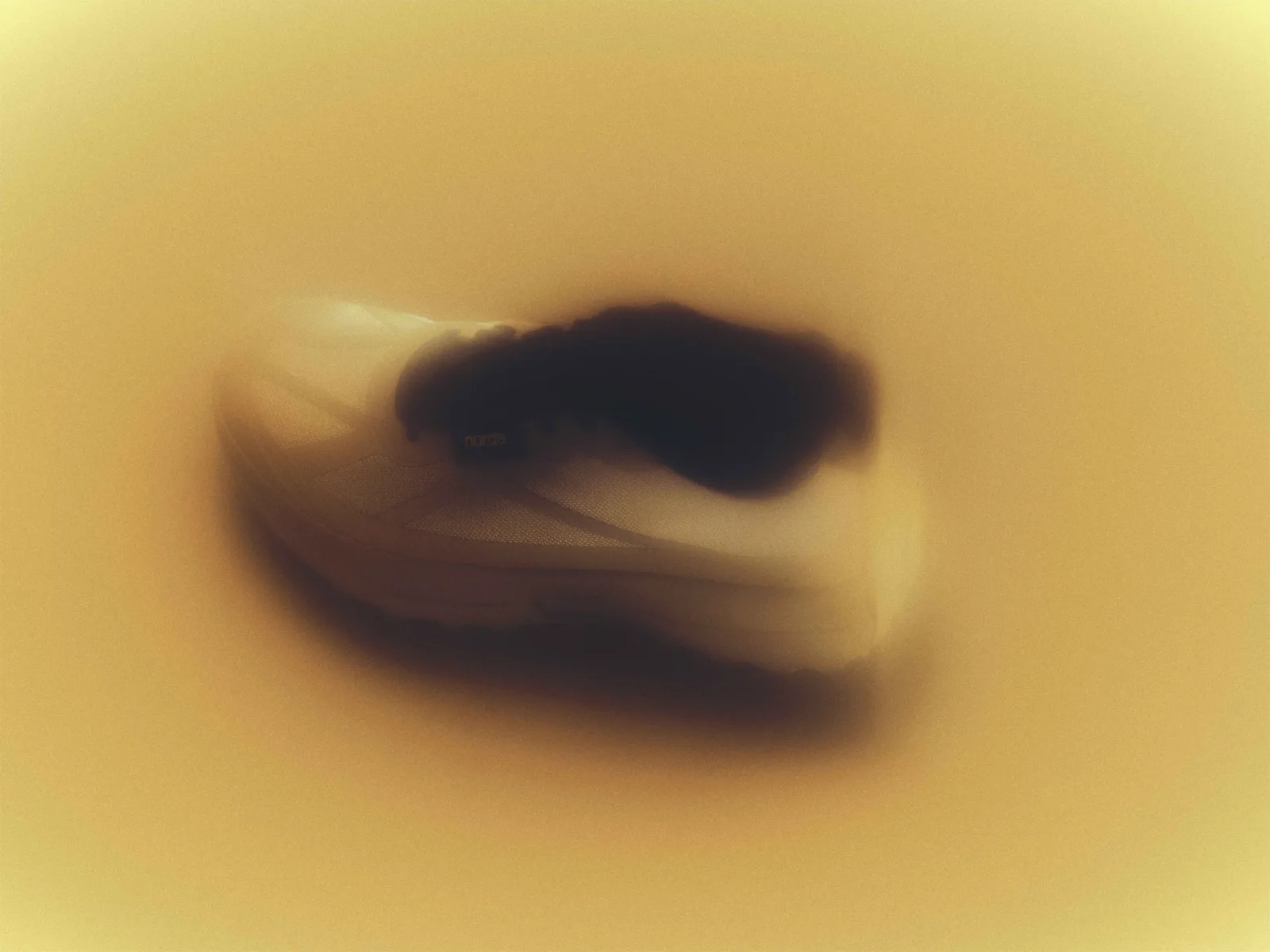 NORDA 055 — editorial still